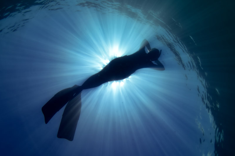 Argonaut Freediving Home Argonaut Freediving Home